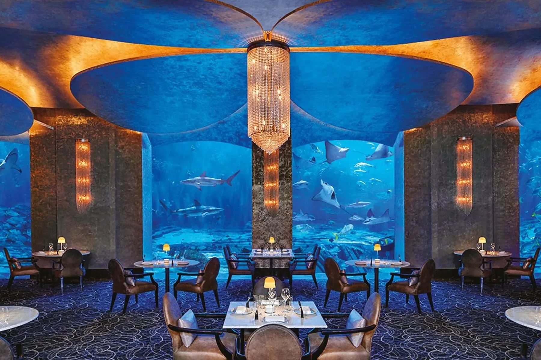 Underwater-view fine-dining room surrounded by aquarium glass