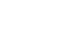 American University in Dubai